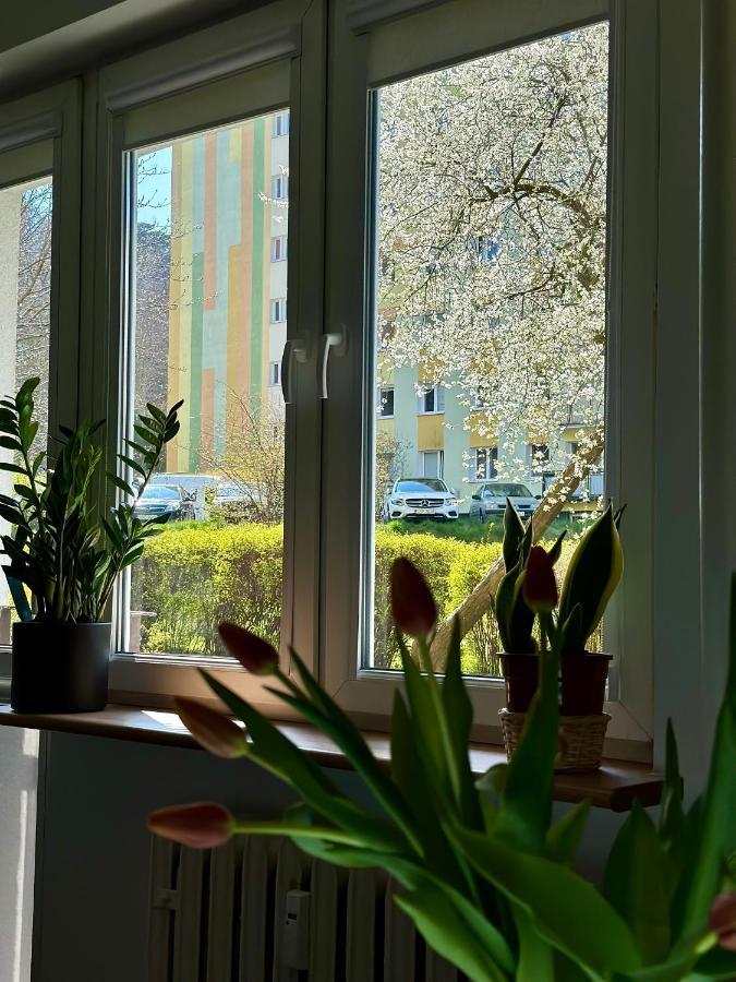 Uroczy Apartament - ソポト エクステリア 写真